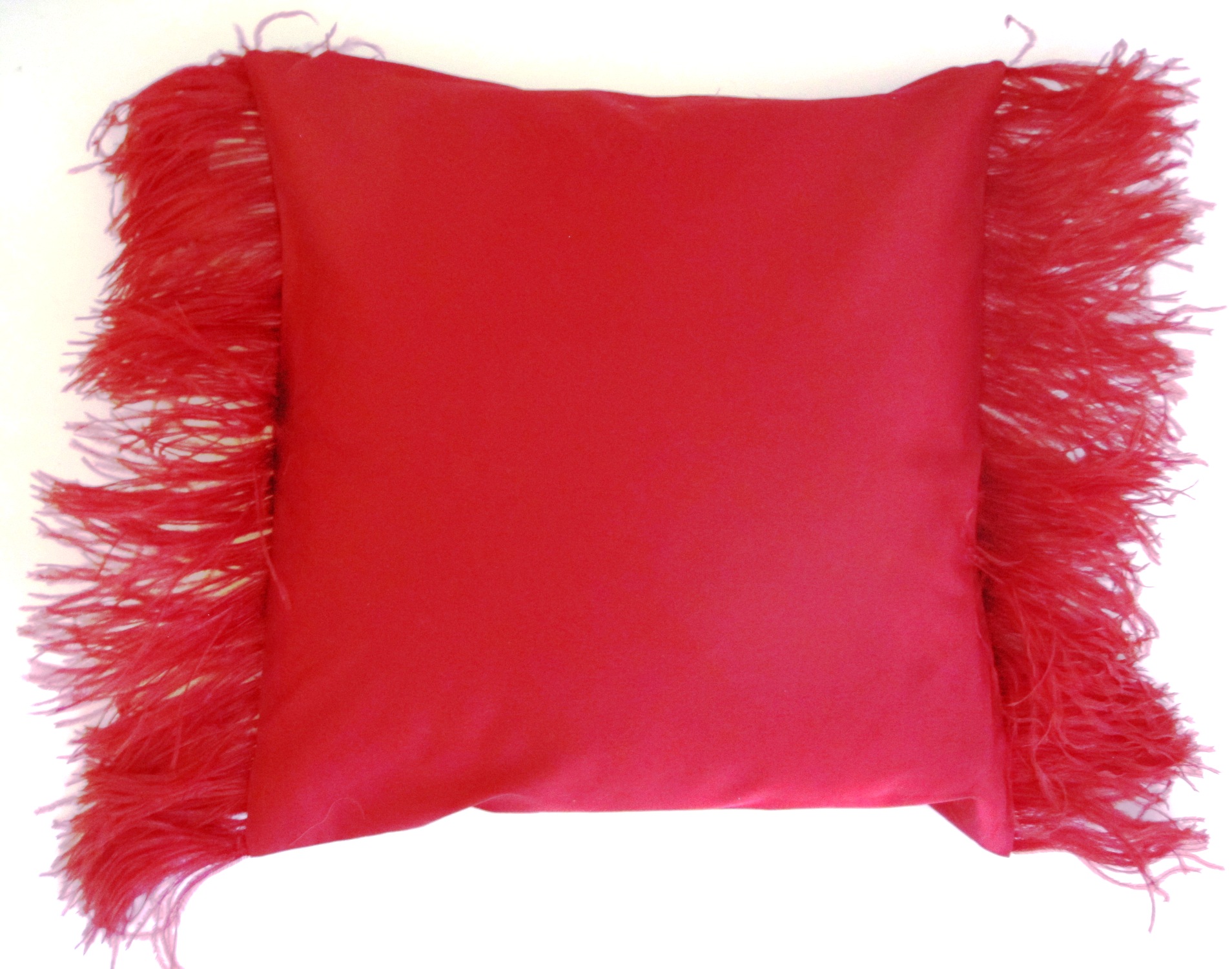 Designer Ostrich Feather Decorative Pillow - Cassawaries